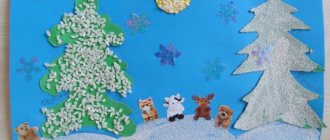 Children&#39;s master class on applique using cereals. Collective work “Winter fantasies” 