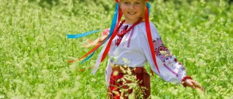 Девочка в русском костюме в поле