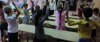 Physical exercises for elementary school - types and basic requirements for conducting classes