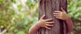 Ребенок обнимает дерево